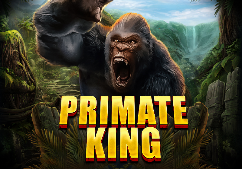 Primate King, 5 valcové hracie automaty